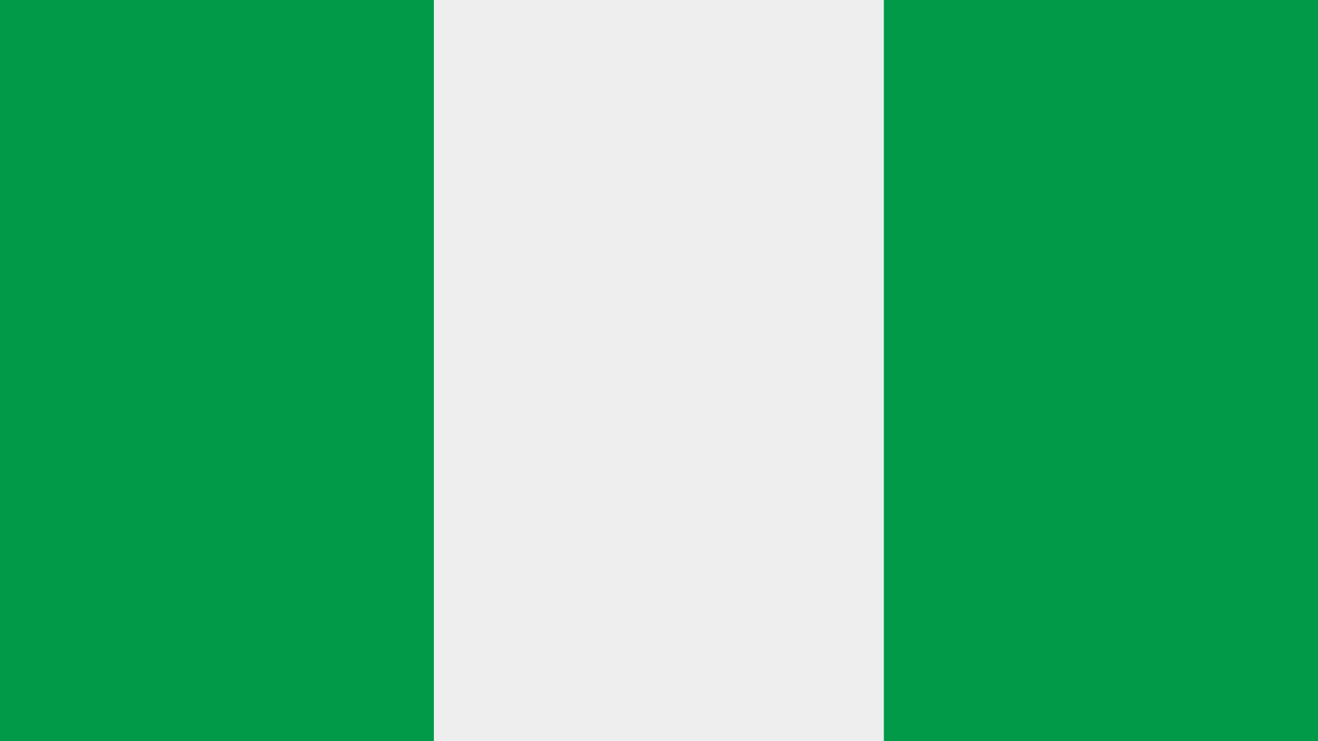 Niger flag